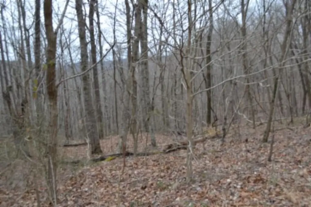 Lot 14 Cheyenne Drive Jamestown TN 38556