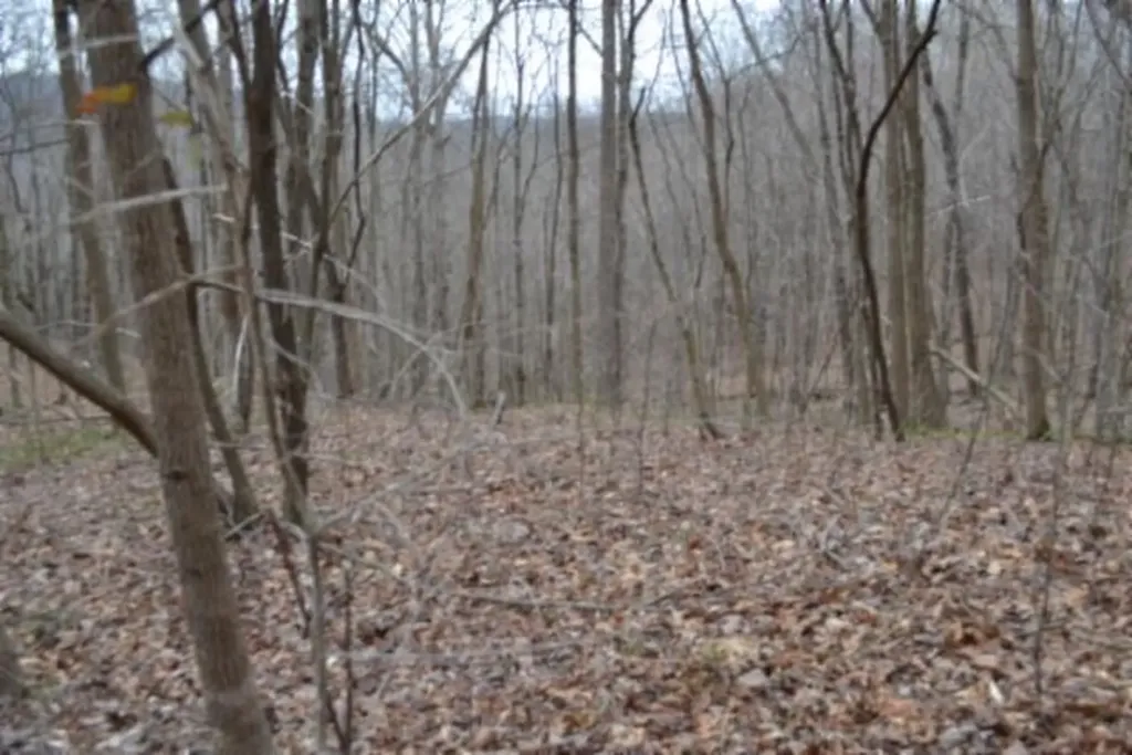 Lot 14 Cheyenne Drive Jamestown TN 38556