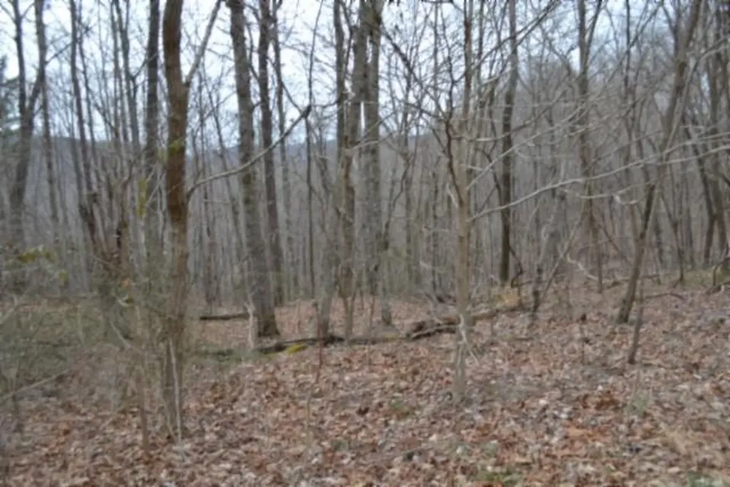 Lot 14 Cheyenne Drive Jamestown TN 38556