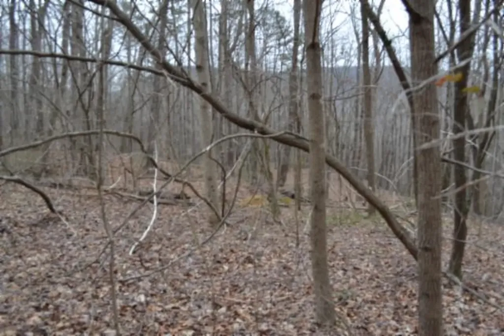 Lot 14 Cheyenne Drive Jamestown TN 38556