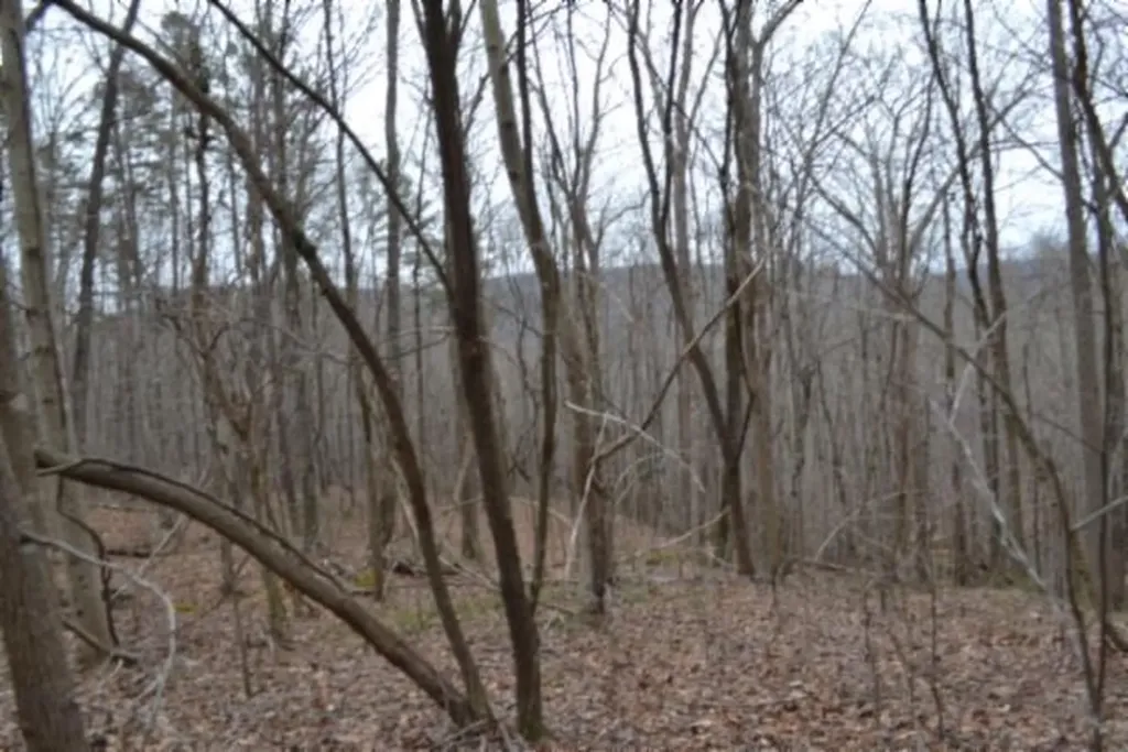 Lot 14 Cheyenne Drive Jamestown TN 38556