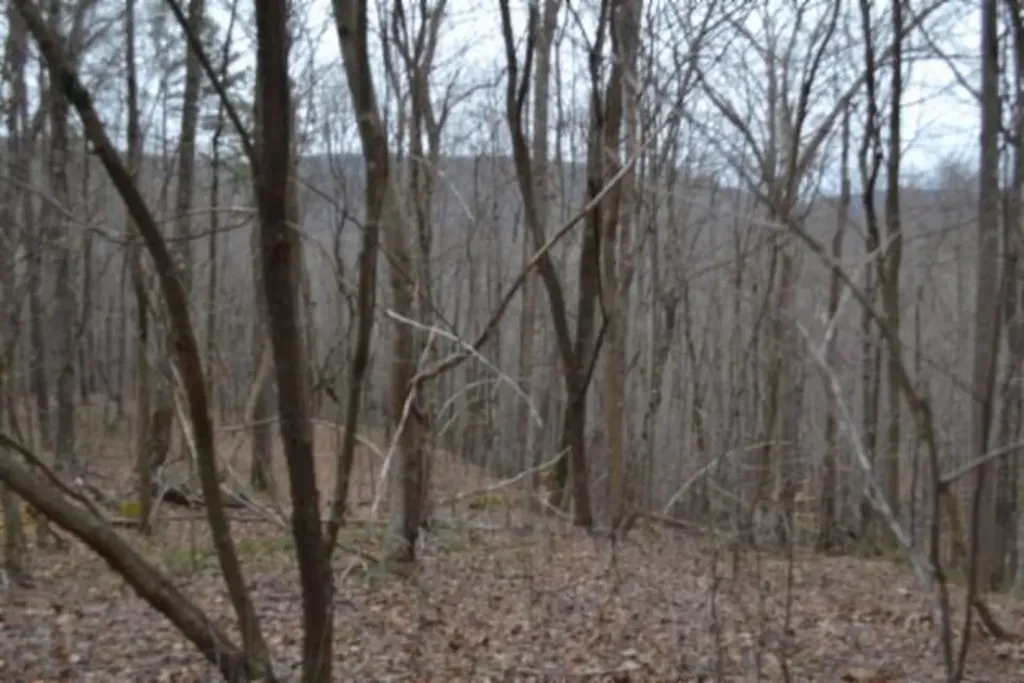 Lot 14 Cheyenne Drive Jamestown TN 38556
