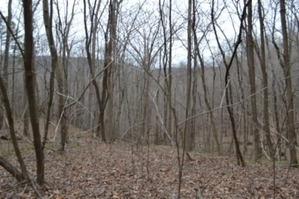 Lot 14 Cheyenne Drive Jamestown TN 38556