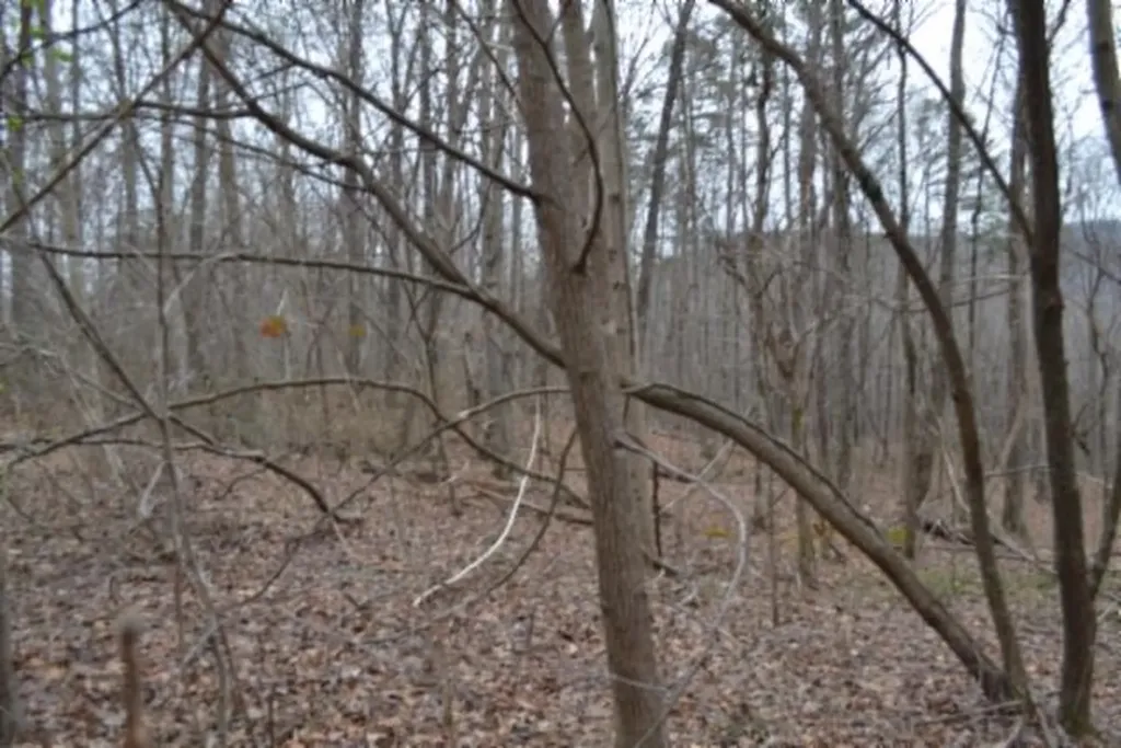 Lot 14 Cheyenne Drive Jamestown TN 38556
