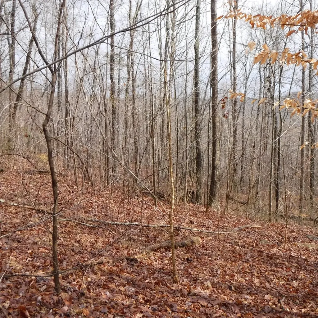 Lot 14 Cheyenne Drive Jamestown TN 38556