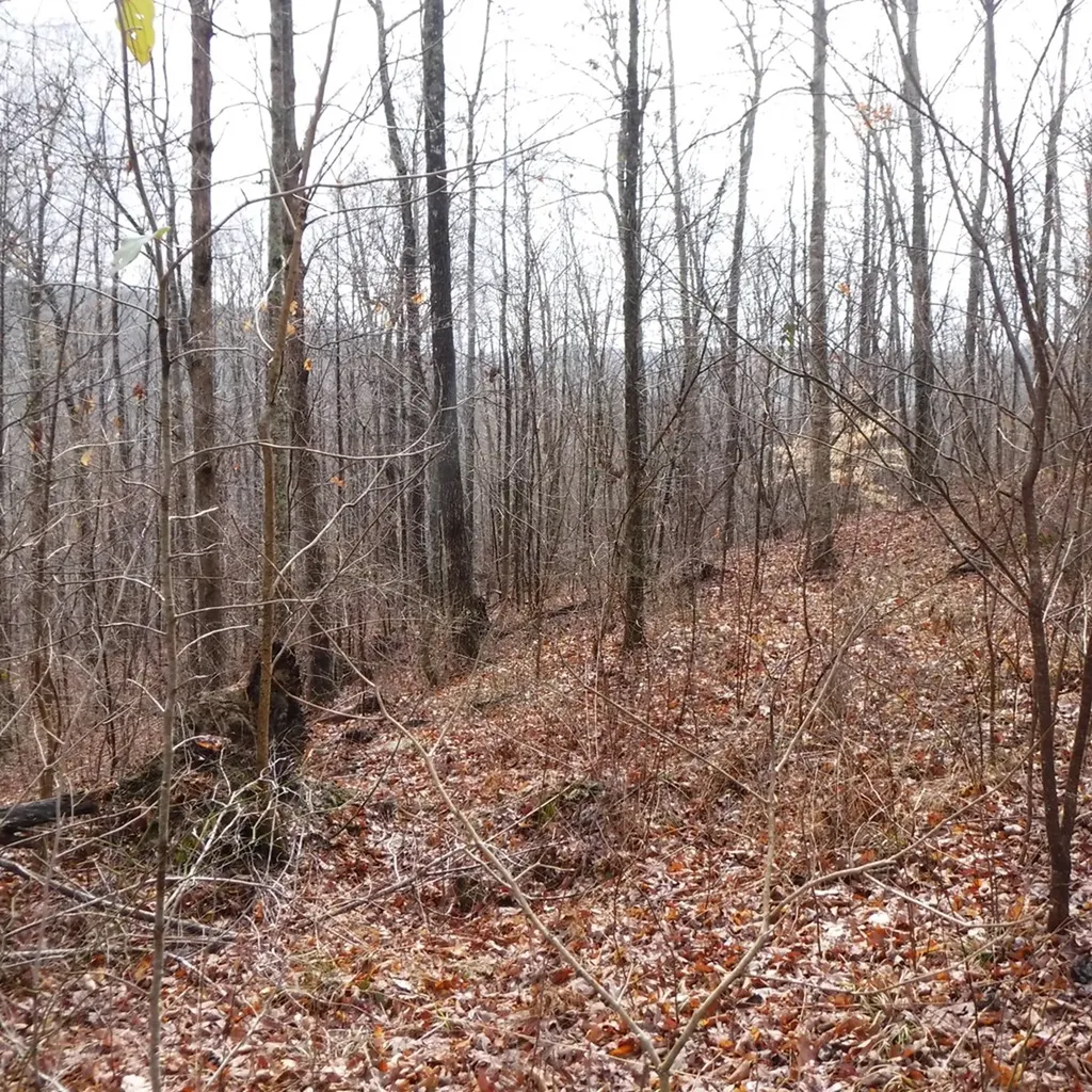 Lot 14 Cheyenne Drive Jamestown TN 38556