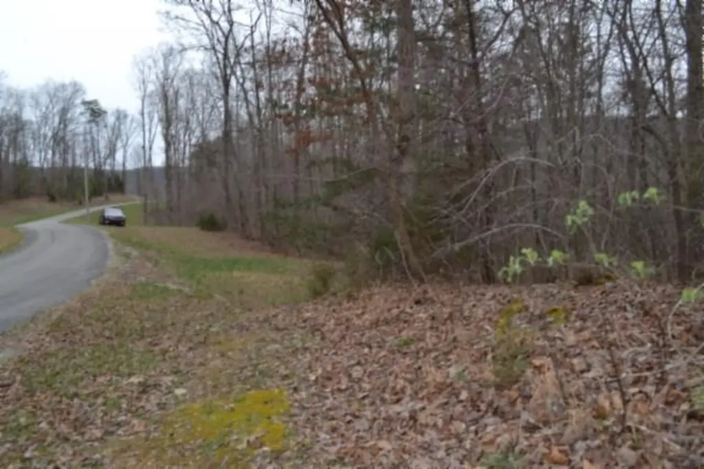 Lot 14 Cheyenne Drive Jamestown TN 38556