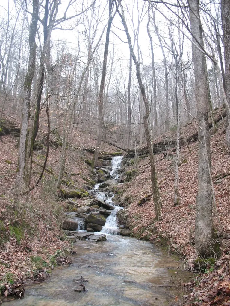 Lot 14 Cheyenne Drive Jamestown TN 38556