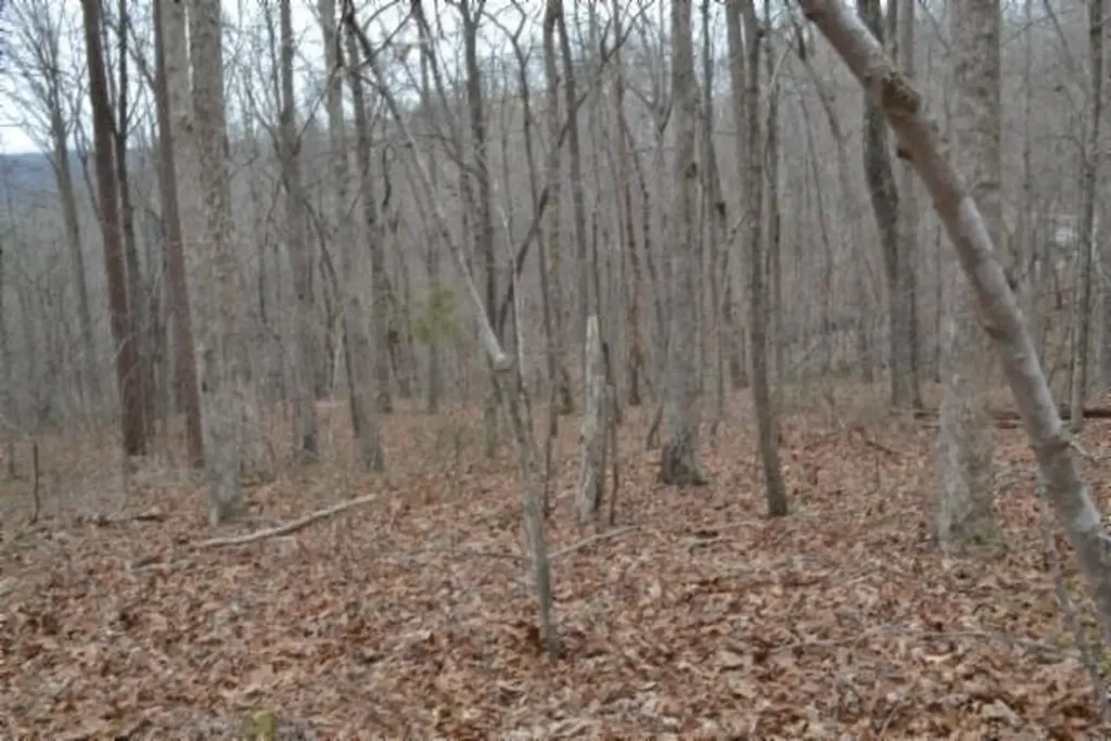 Lot 14 Cheyenne Drive Jamestown TN 38556
