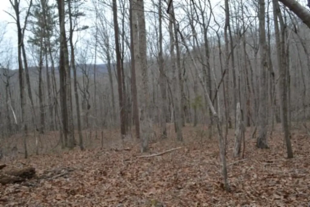 Lot 14 Cheyenne Drive Jamestown TN 38556