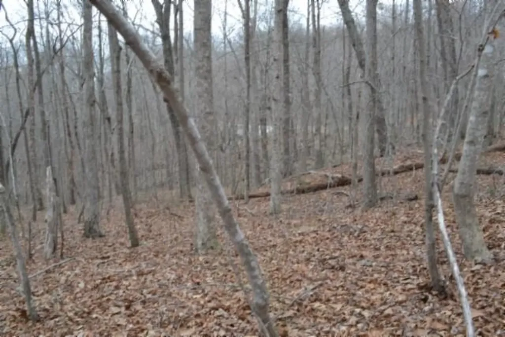 Lot 14 Cheyenne Drive Jamestown TN 38556