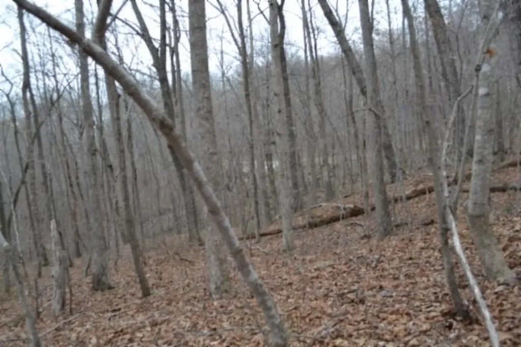 Lot 14 Cheyenne Drive Jamestown TN 38556