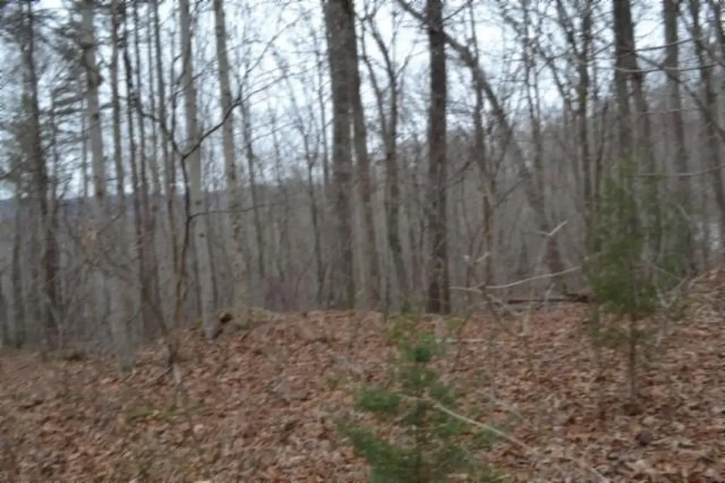 Lot 14 Cheyenne Drive Jamestown TN 38556