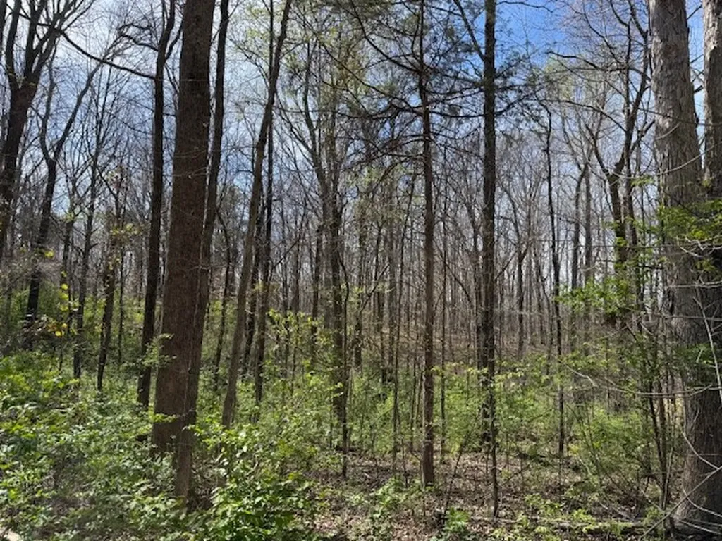 0 Shellsford Road Mcminnville TN 37110