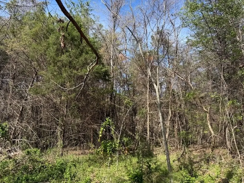 0 Shellsford Road Mcminnville TN 37110