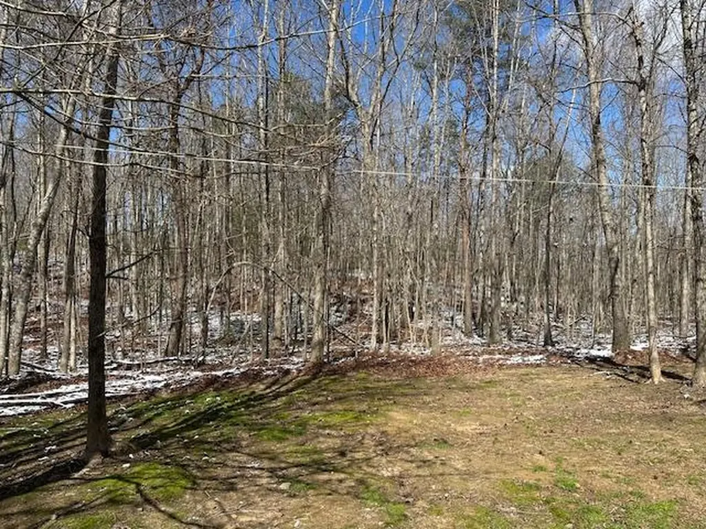 126 Indian Village Lane Wilder TN 38589