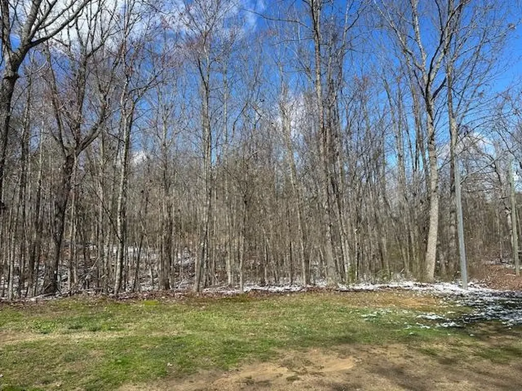 126 Indian Village Lane Wilder TN 38589