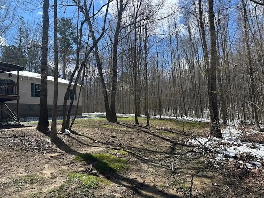 126 Indian Village Lane Wilder TN 38589