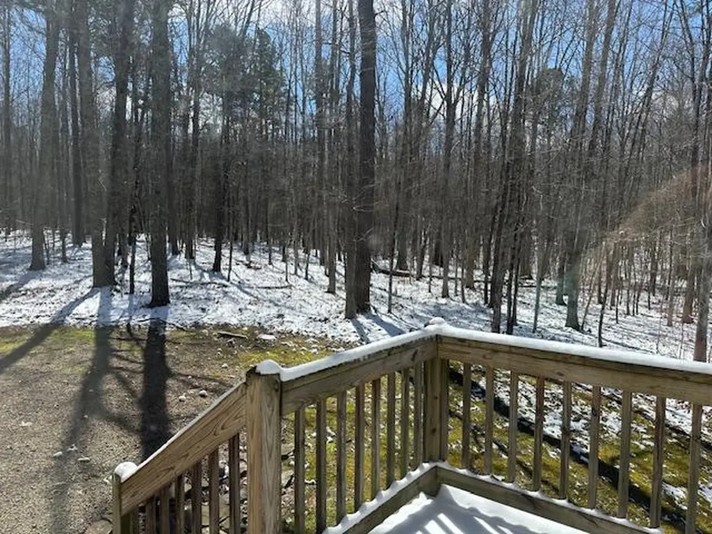 126 Indian Village Lane Wilder TN 38589