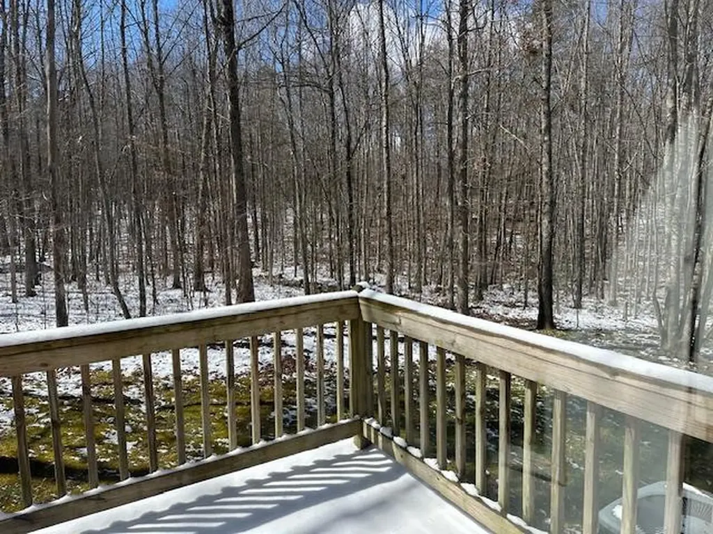 126 Indian Village Lane Wilder TN 38589