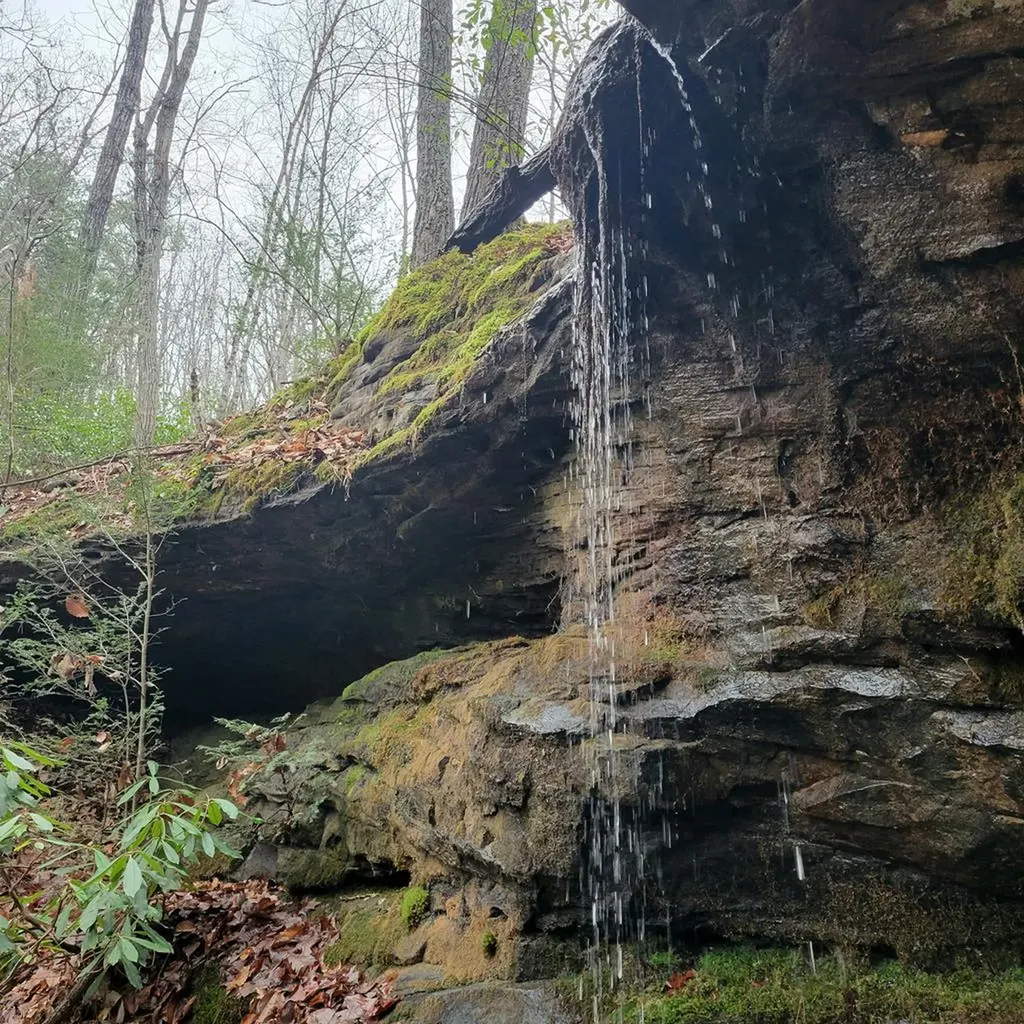 126 Indian Village Lane Wilder TN 38589