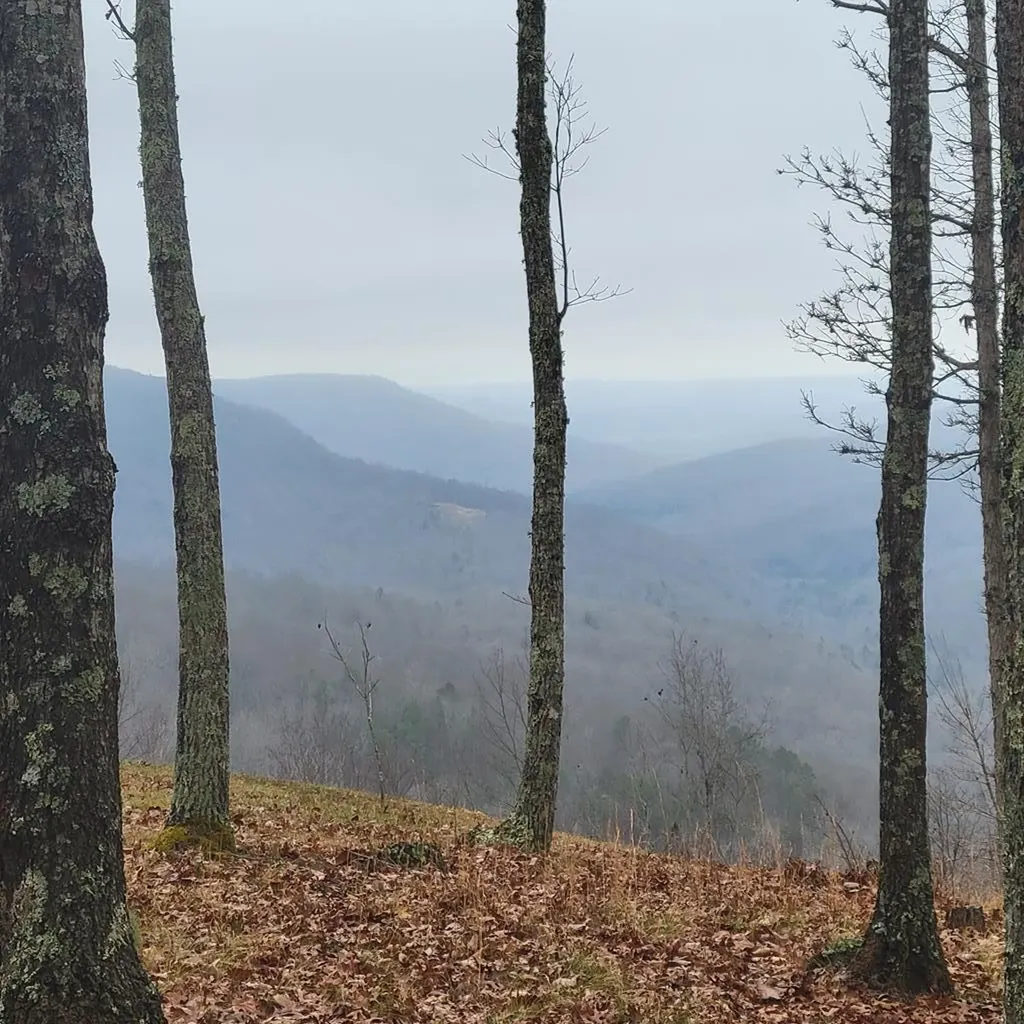 126 Indian Village Lane Wilder TN 38589
