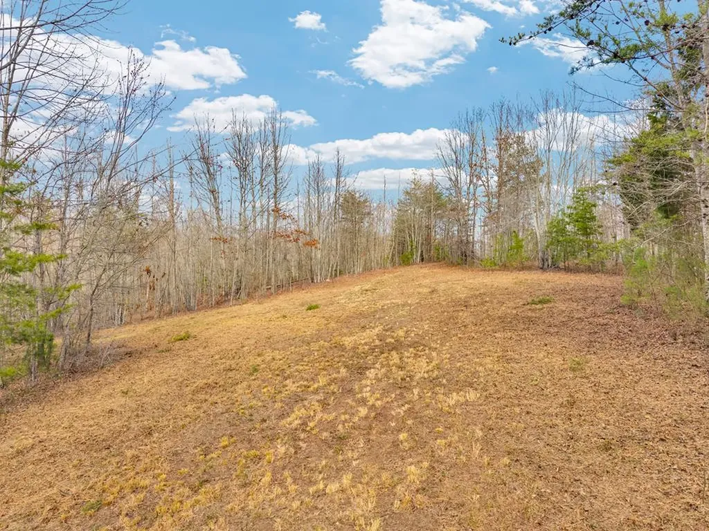 Lot 11 Soak Creek Lane Grandview TN 37337