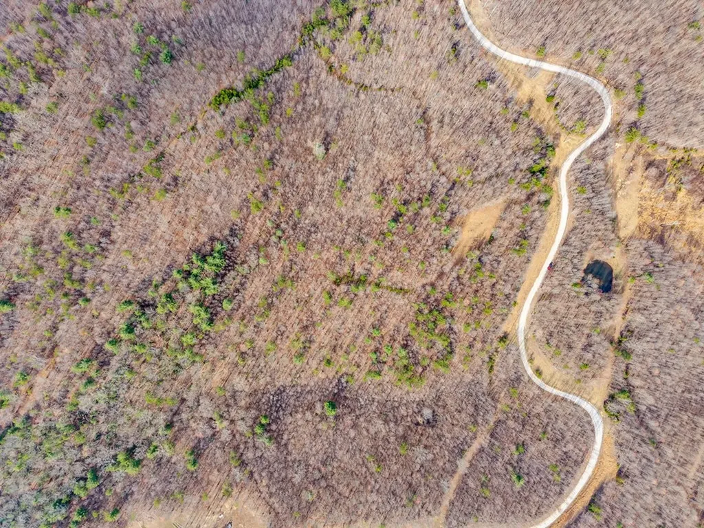 Lot 11 Soak Creek Lane Grandview TN 37337