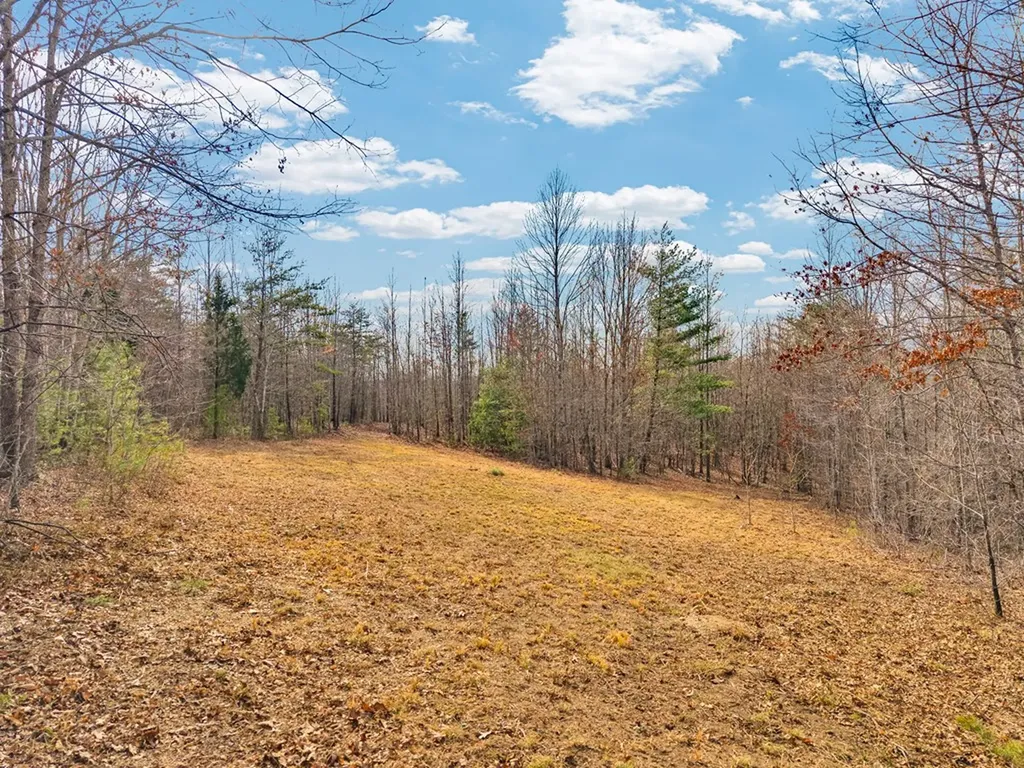 Lot 11 Soak Creek Lane Grandview TN 37337