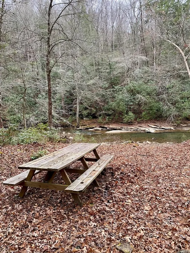 Lot 11 Soak Creek Lane Grandview TN 37337