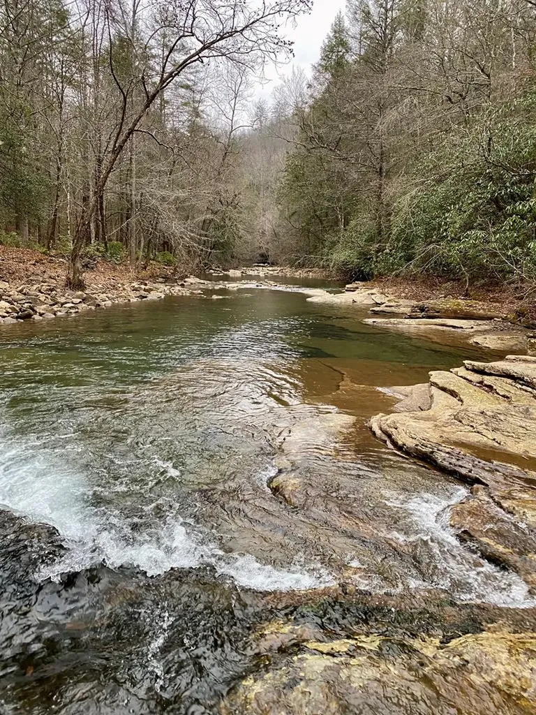 Lot 11 Soak Creek Lane Grandview TN 37337