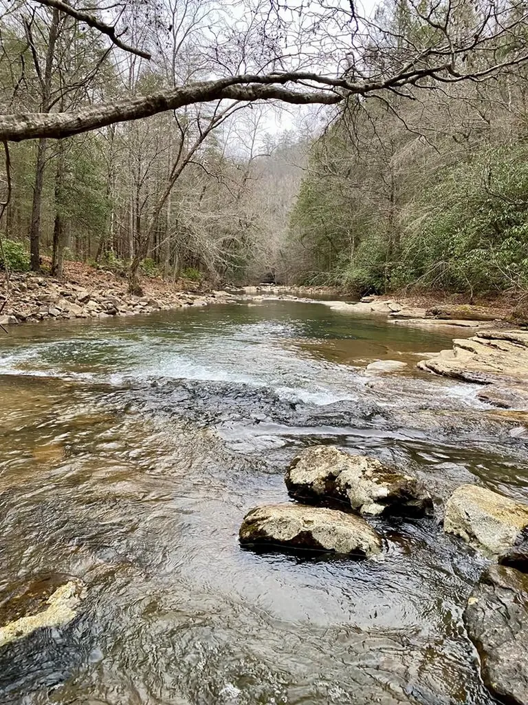 Lot 11 Soak Creek Lane Grandview TN 37337