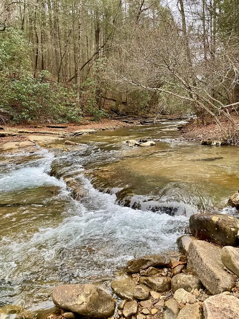 Lot 11 Soak Creek Lane Grandview TN 37337