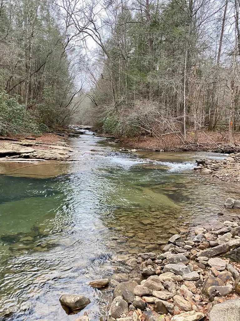 Lot 11 Soak Creek Lane Grandview TN 37337