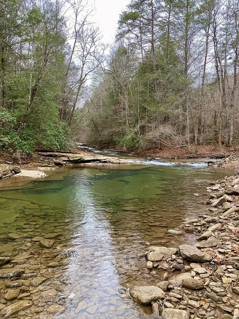 Lot 11 Soak Creek Lane Grandview TN 37337