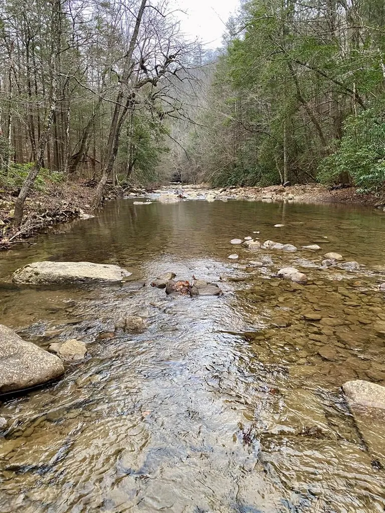 Lot 11 Soak Creek Lane Grandview TN 37337