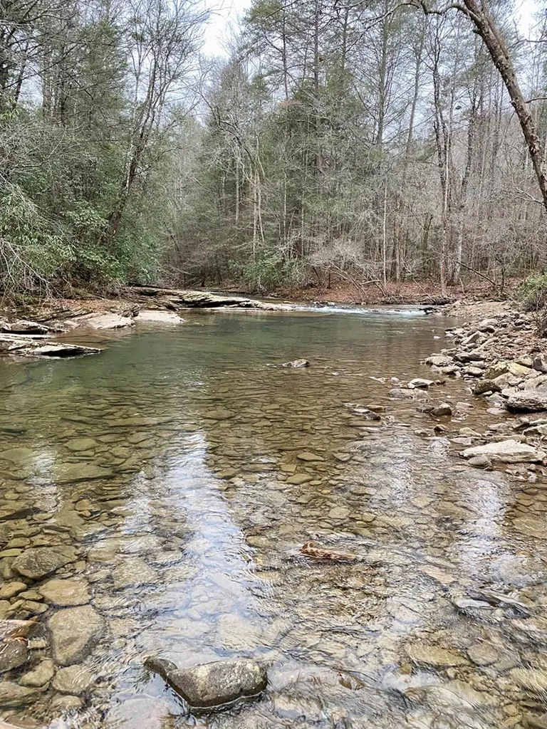 Lot 11 Soak Creek Lane Grandview TN 37337