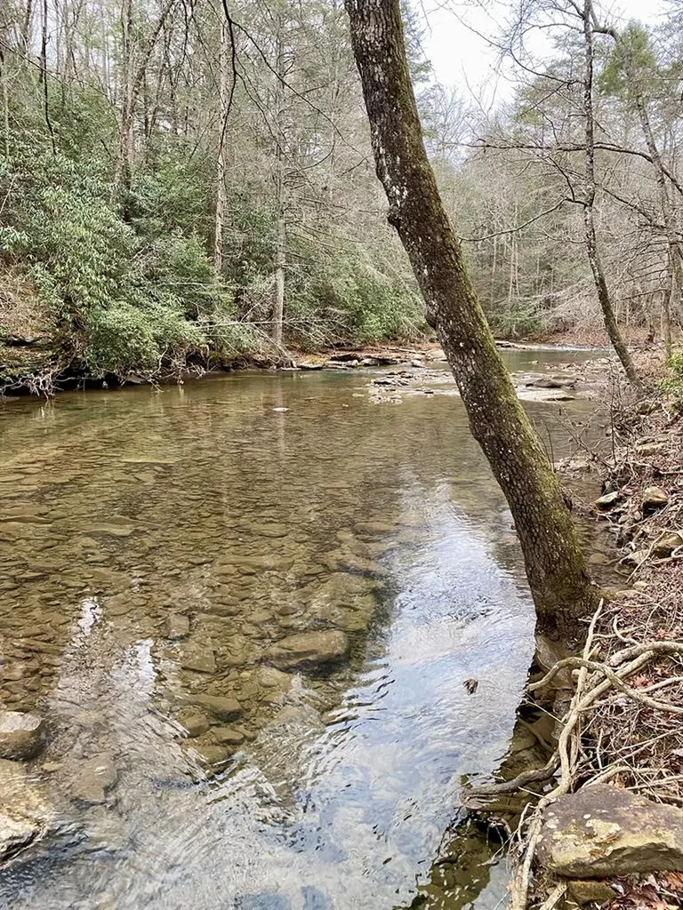 Lot 11 Soak Creek Lane Grandview TN 37337