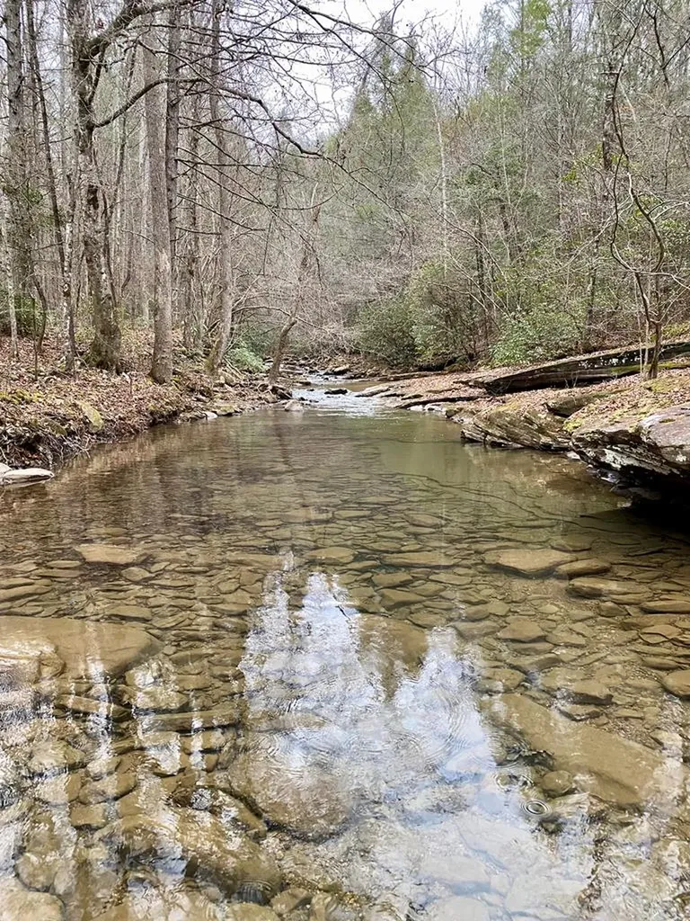 Lot 11 Soak Creek Lane Grandview TN 37337