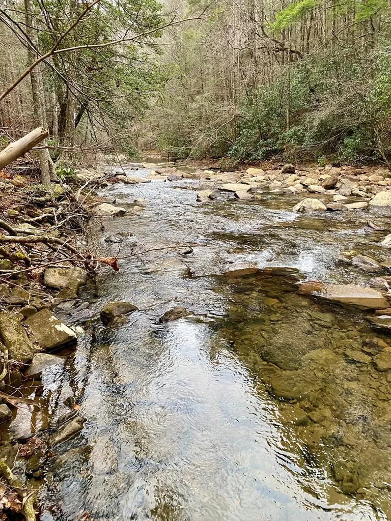 Lot 11 Soak Creek Lane Grandview TN 37337