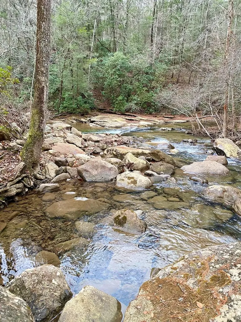 Lot 11 Soak Creek Lane Grandview TN 37337