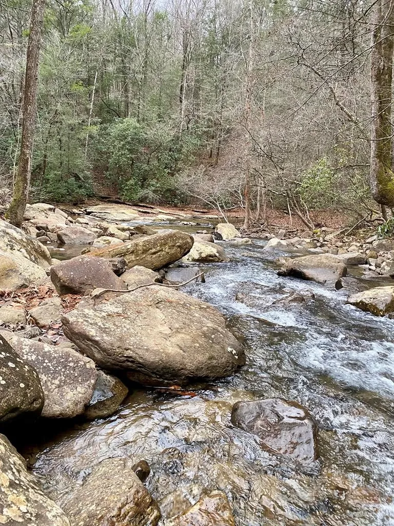 Lot 11 Soak Creek Lane Grandview TN 37337