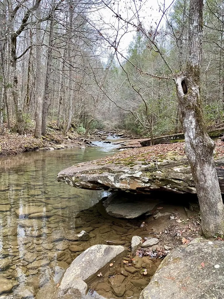 Lot 11 Soak Creek Lane Grandview TN 37337