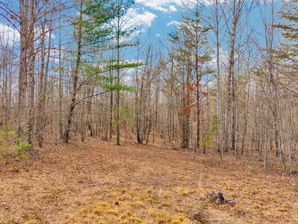 Lot 11 Soak Creek Lane Grandview TN 37337