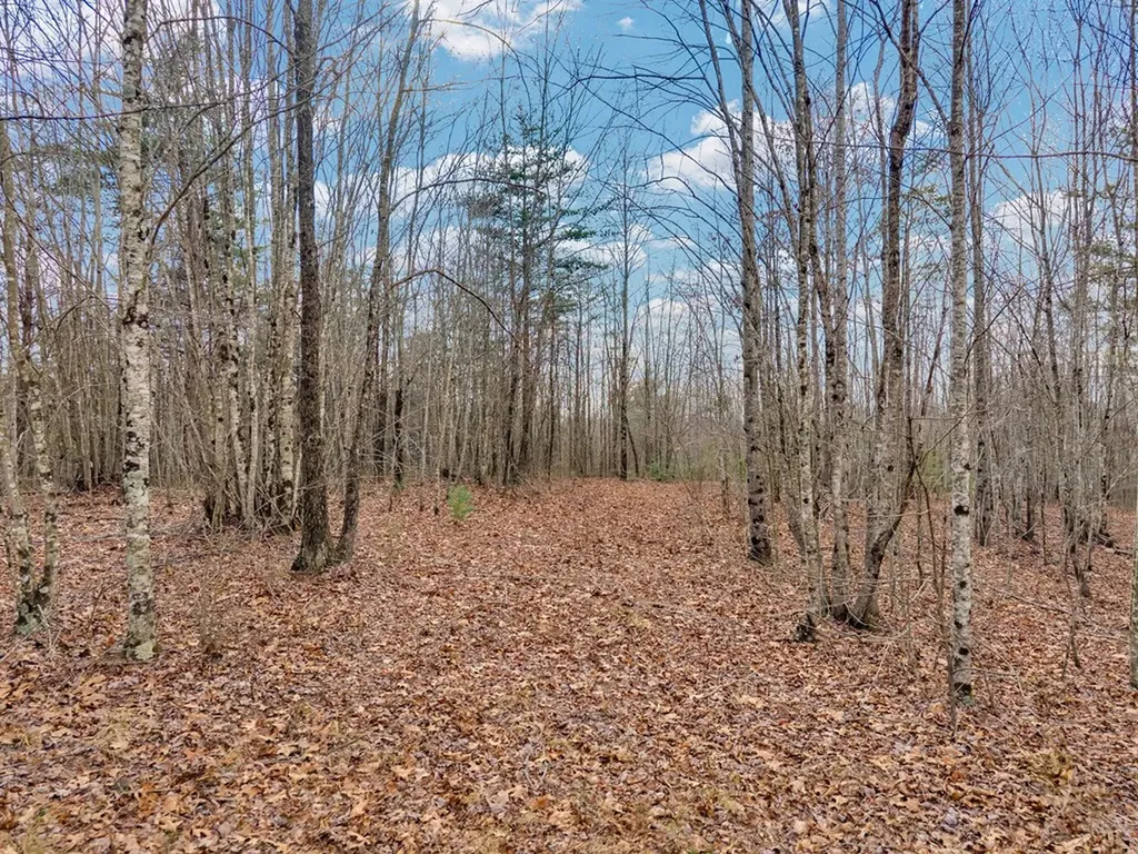 Lot 11 Soak Creek Lane Grandview TN 37337