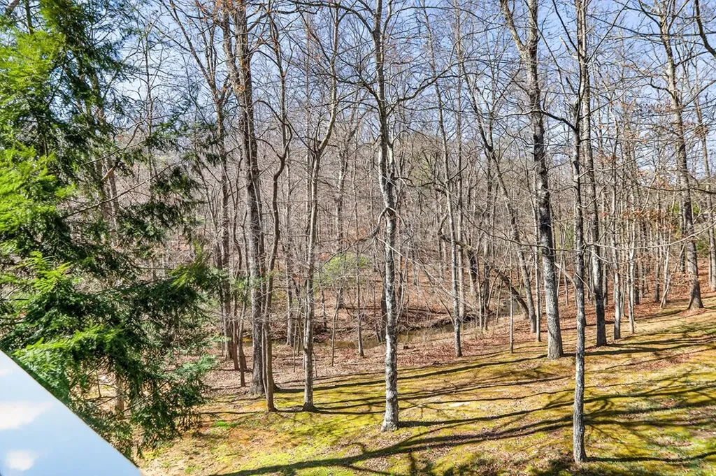 499 Hemlock Lane Spencer TN 38585-4143