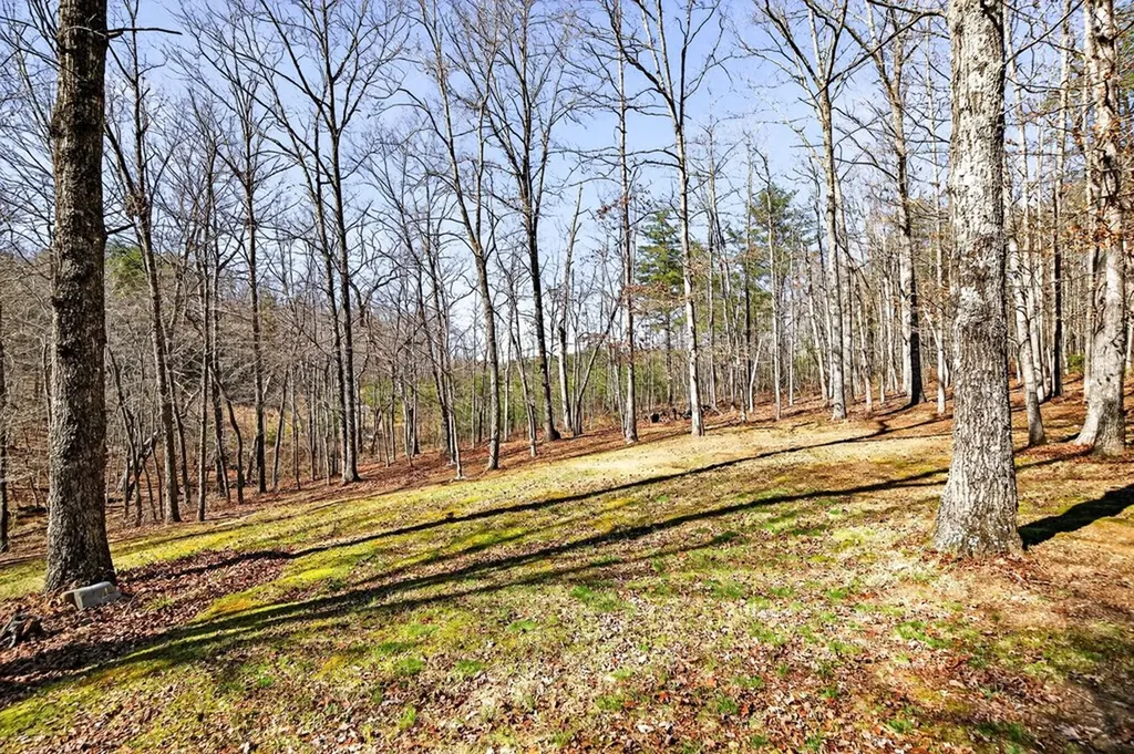 499 Hemlock Lane Spencer TN 38585-4143