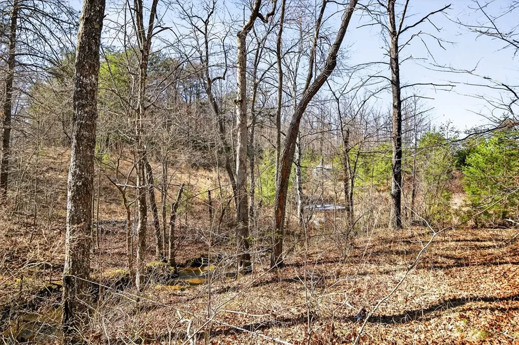 499 Hemlock Lane Spencer TN 38585-4143