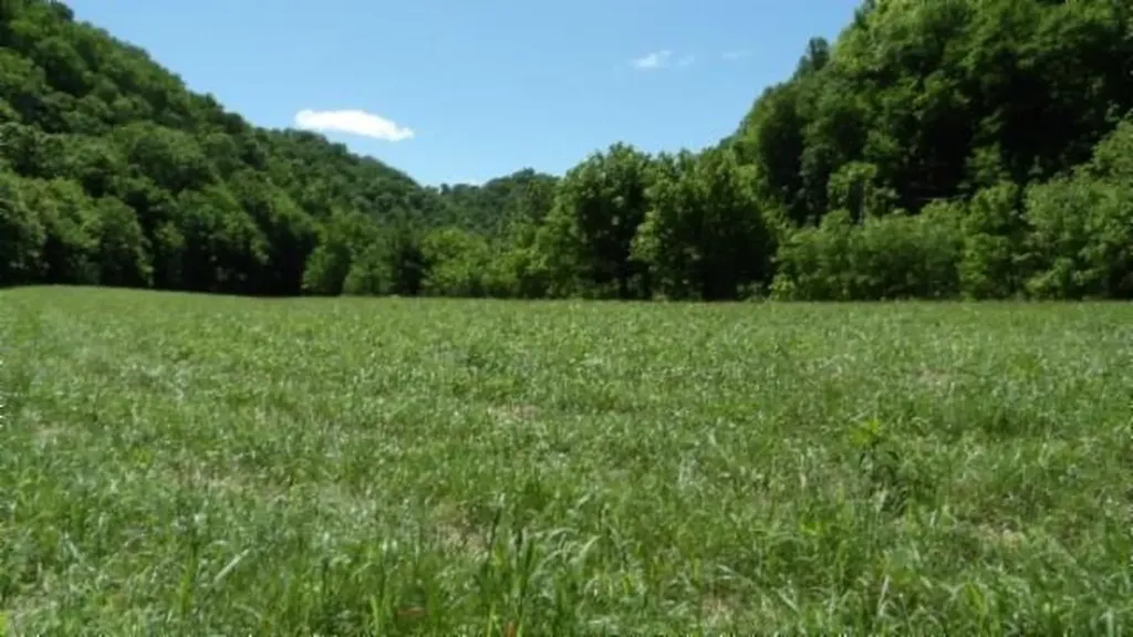 5155 Brimestone Creek Road Moss TN 38575