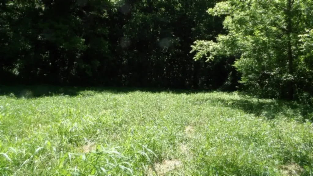 5155 Brimestone Creek Road Moss TN 38575